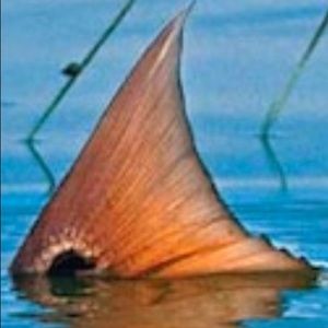 Meet your Posher, Stephen